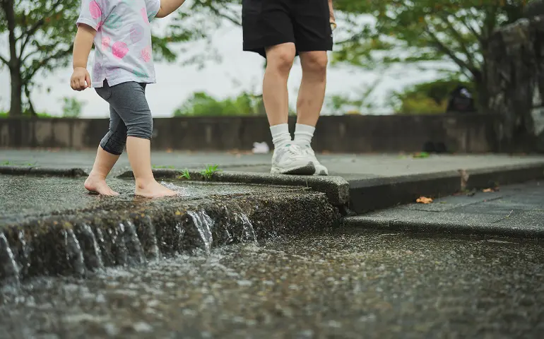 日常に、緑と空と水がある。