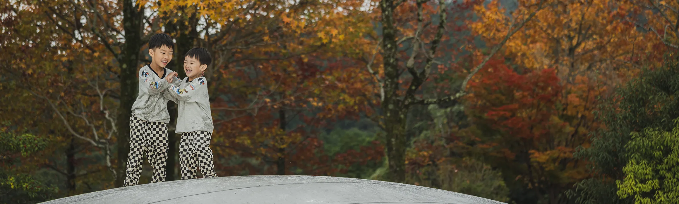 イベントの多さ、公園の充実度が群を抜いている。「気づけば大野城市で遊んでいる」感覚です